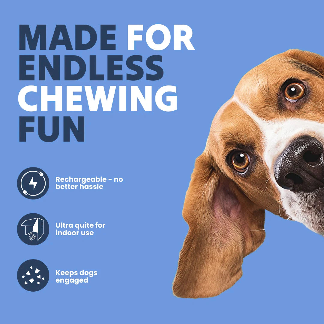 The SmartToy by Sorana