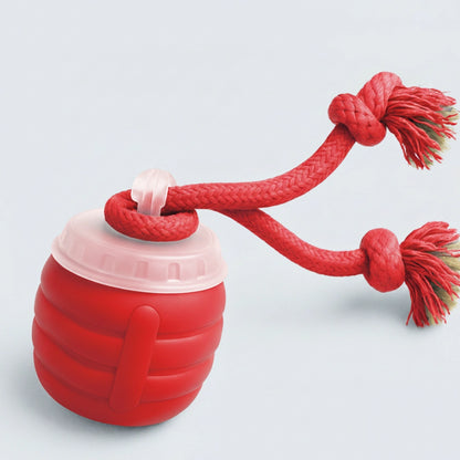 The SmartToy by Sorana