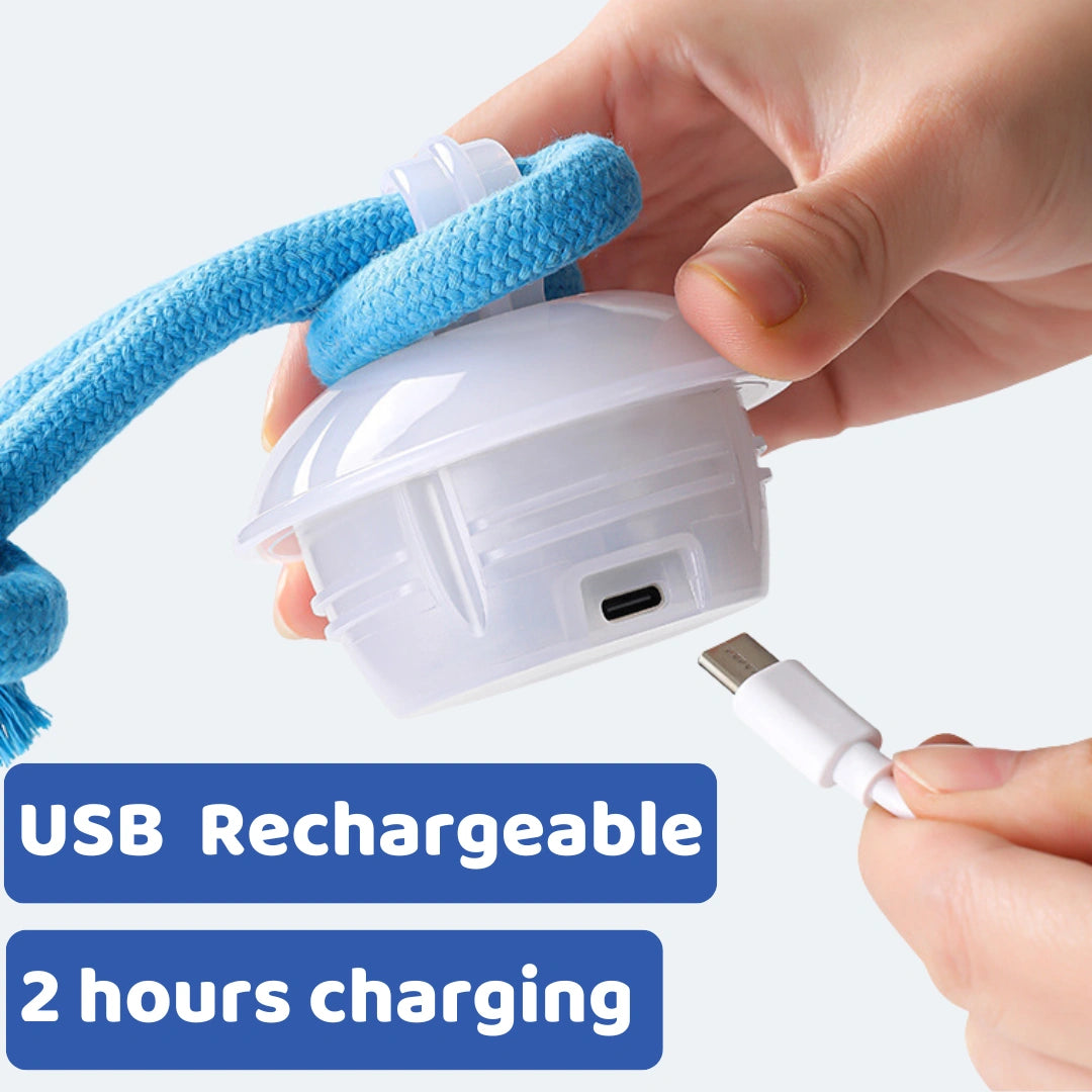 The SmartToy by Sorana