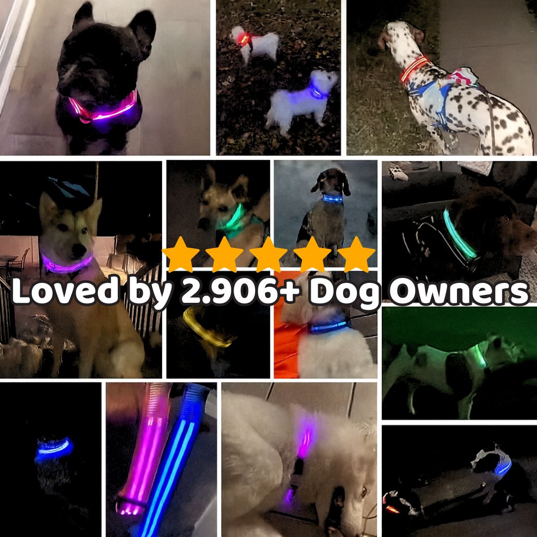 The GlowGuard by Sorana