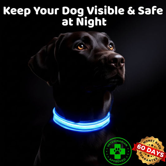 The GlowGuard by Sorana