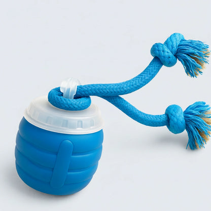 The SmartToy by Sorana