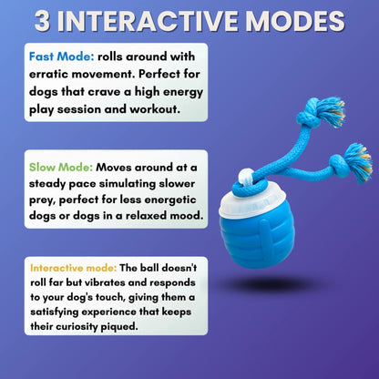 The SmartToy by Sorana