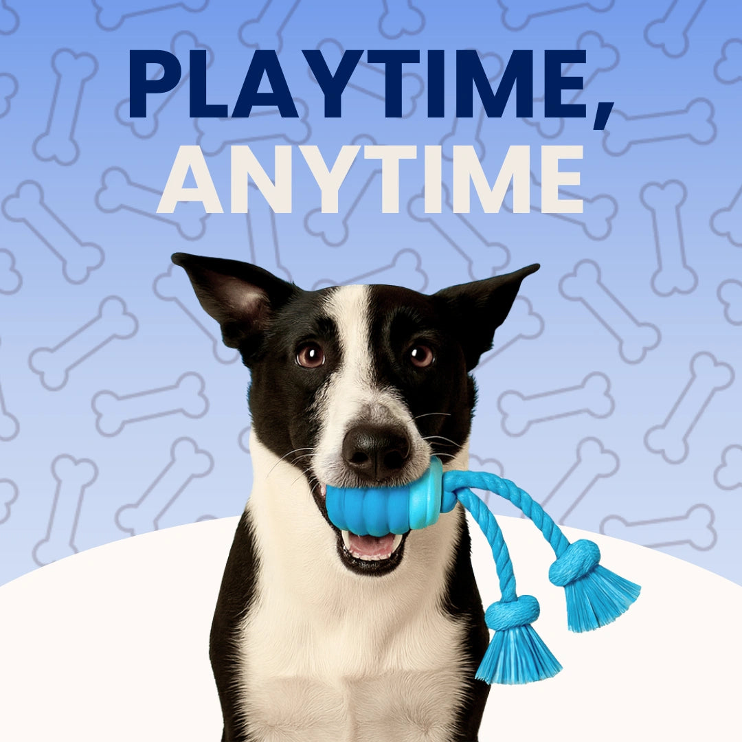 The SmartToy by Sorana