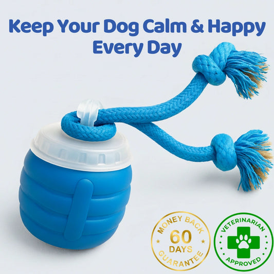 The SmartToy by Sorana