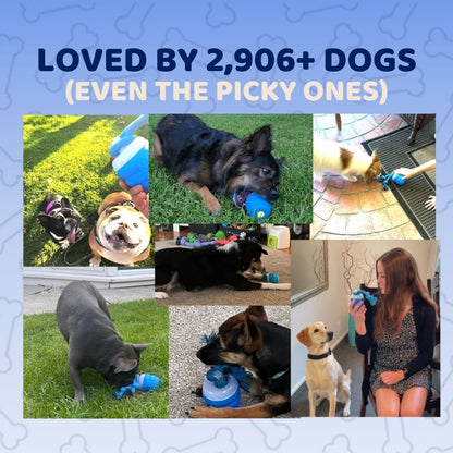 The SmartToy by Sorana