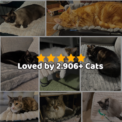 The WarmingMat by Sorana