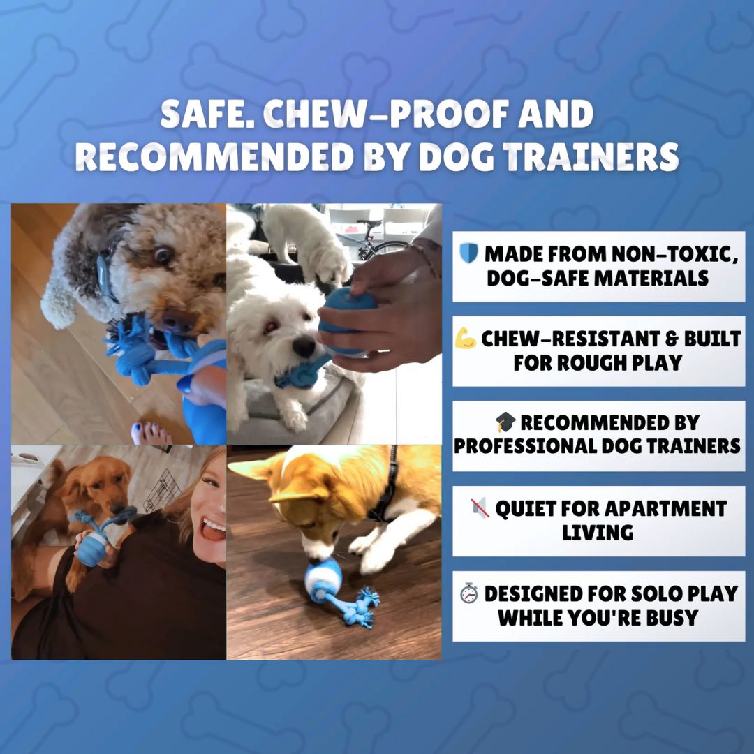 The SmartToy by Sorana