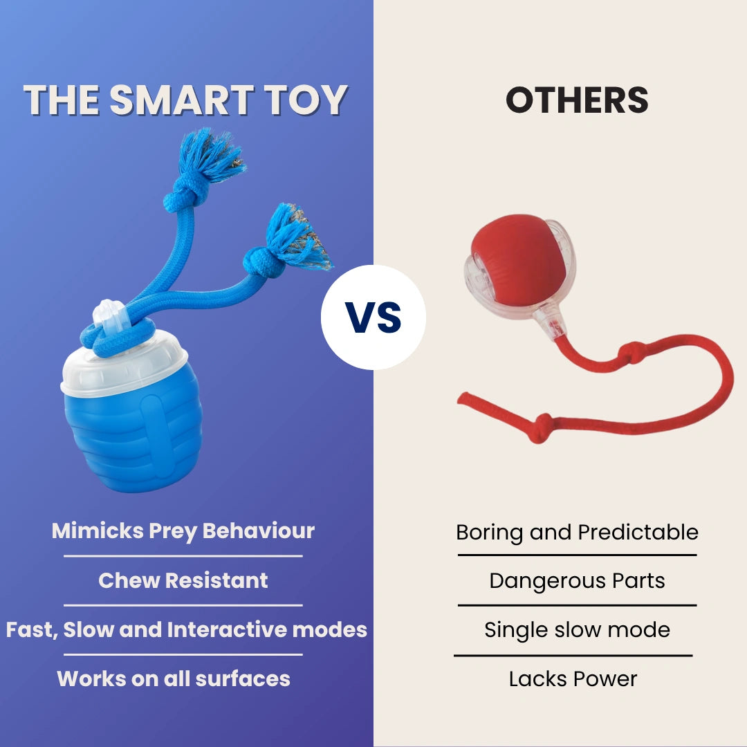 The SmartToy by Sorana