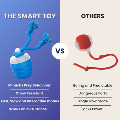 The SmartToy by Sorana