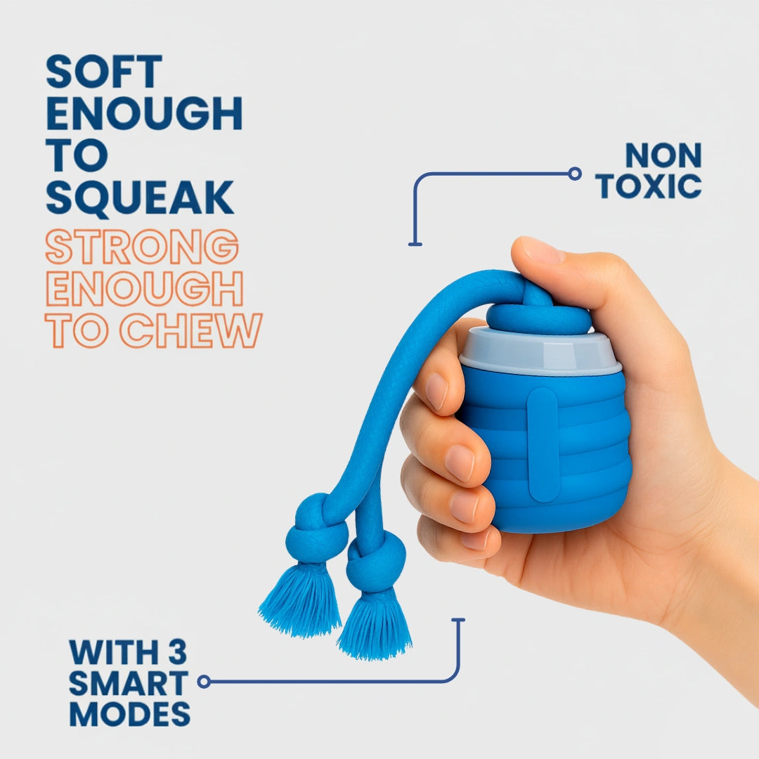 The SmartToy by Sorana